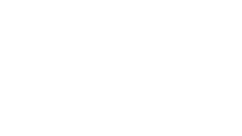 Stride Logo White