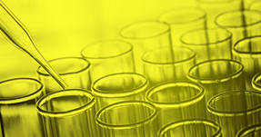 Industry Briefs Thumb 2